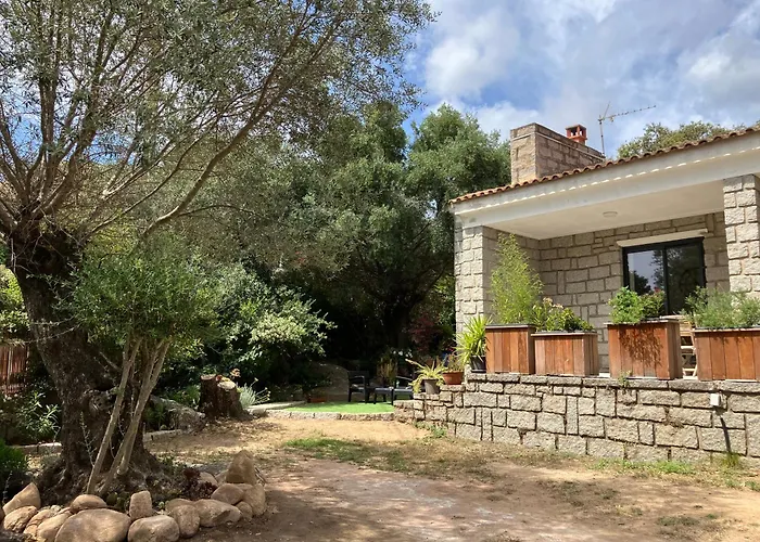 Luxury Vue A 300m Du Centre Terrasse,jardin,parking Prive Villa